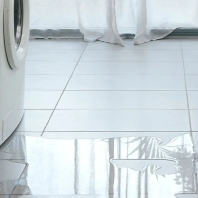 Appliance Leak Cleanup in Shields, MI