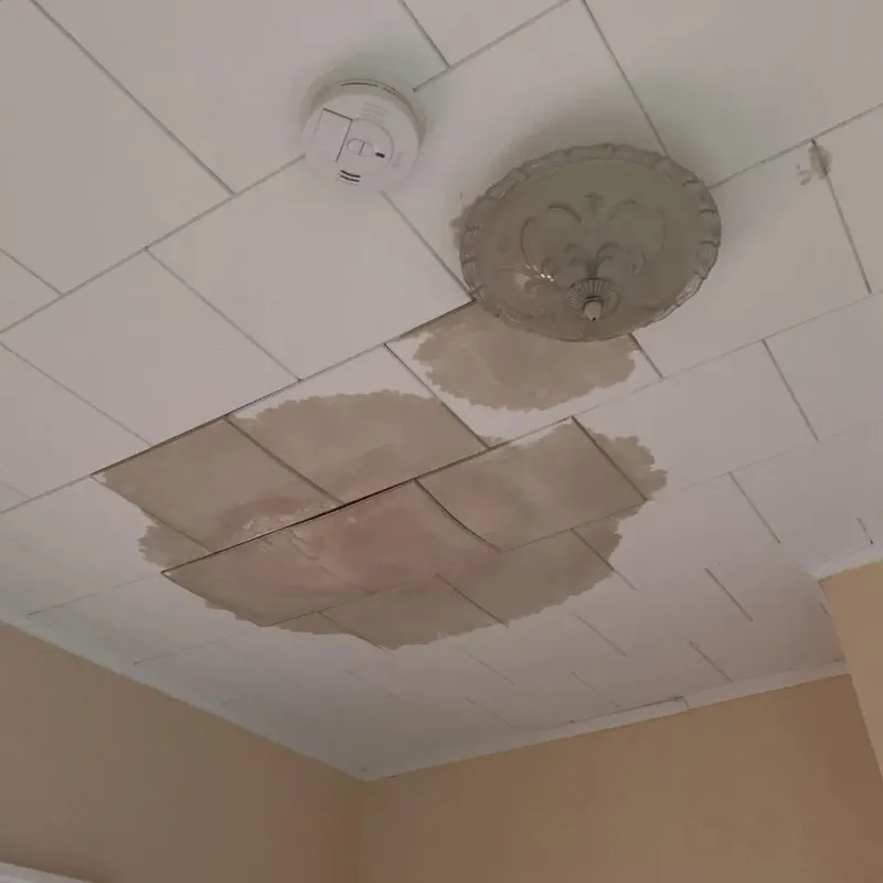 Ceiling Water Damage Repair in Shields, MI