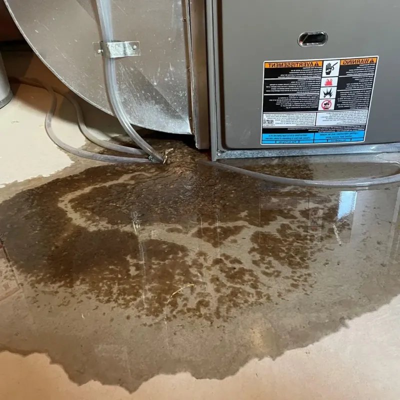 Pipe Burst and Leak Restoration in Shields, MI