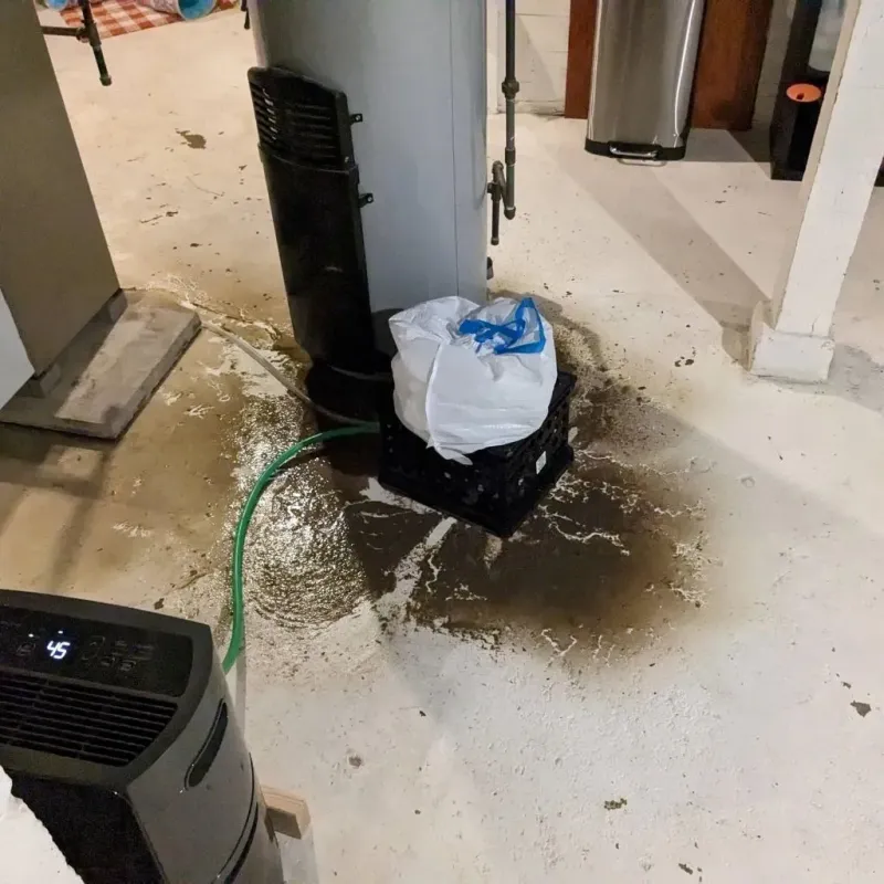 Sewage Backup Cleanup Service in Shields, MI